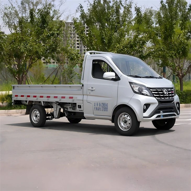 Mini camion