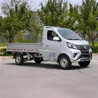 Mini camion
