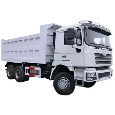 CAMION CON RIBALTABILE SHACMAN DELONG F3000 336HP 9M*2.5M*3.5M FORMA BIANCA